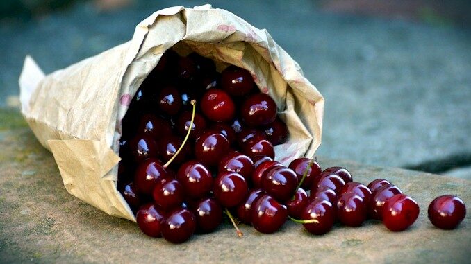 A Natural Approach to treating gout with Cherry Extract